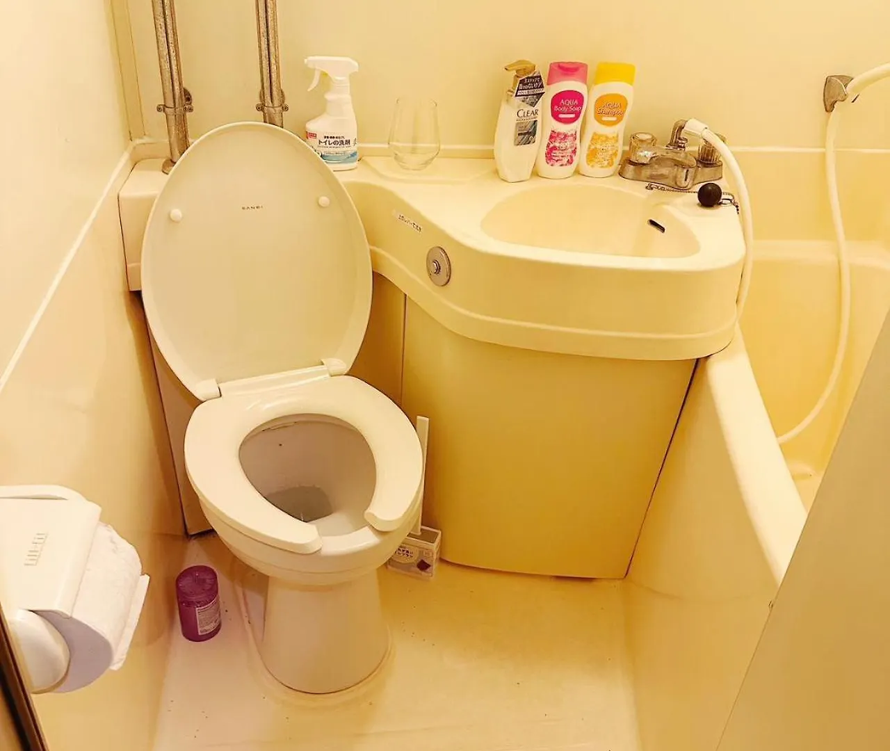 Shinjuku Wasabi House Apartment Tokyo